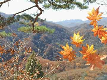實(shí)時(shí)模糊動(dòng)畫視頻下載與智能屋門價(jià)格，未來生活新篇章的兩大科技焦點(diǎn)